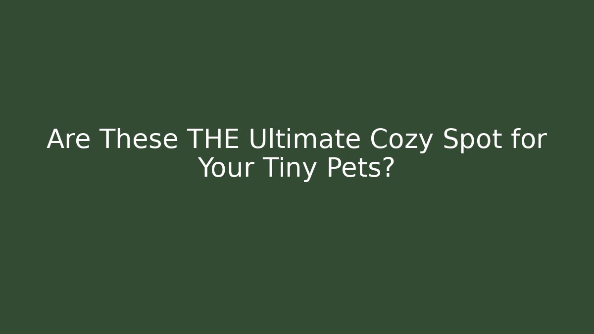 Are These THE Ultimate Cozy Spot for Your Tiny Pets?