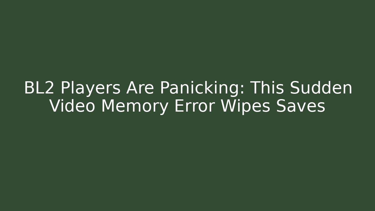 BL2 Players Are Panicking: This Sudden Video Memory Error Wipes Saves