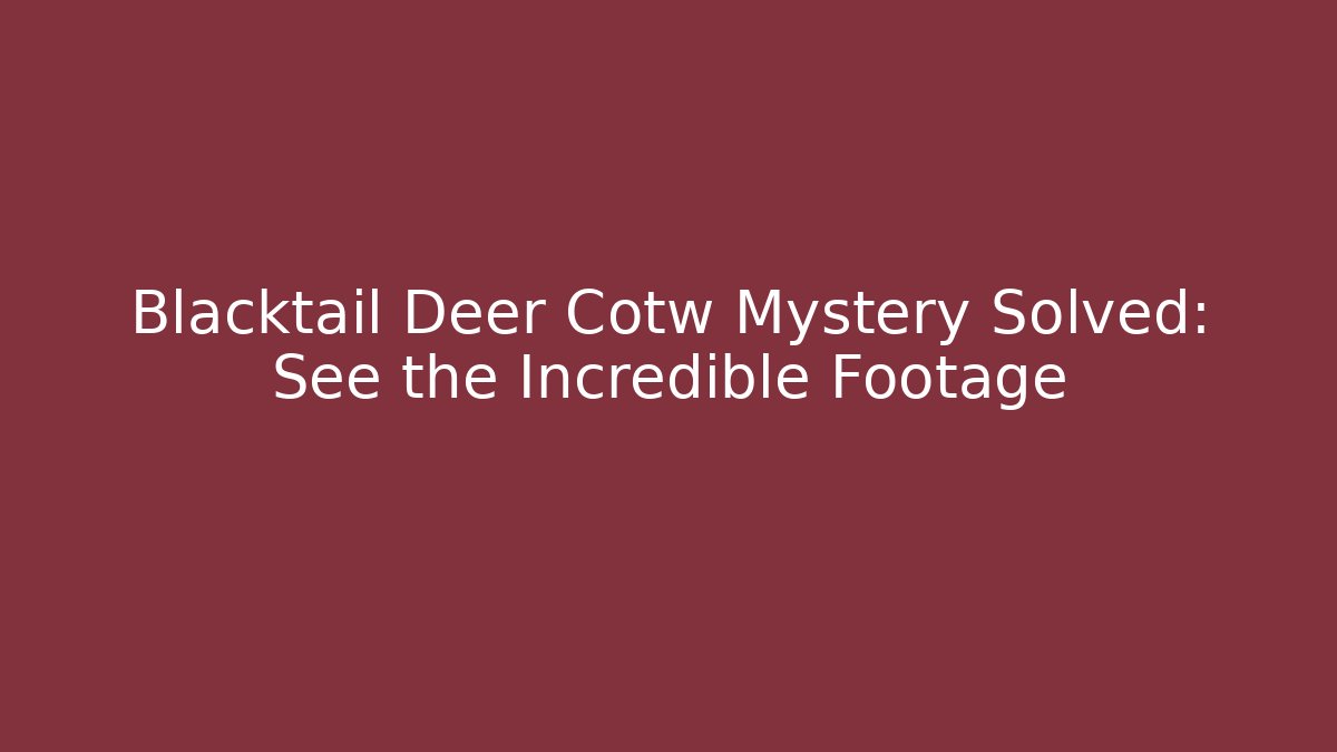 Blacktail Deer Cotw Mystery Solved: See the Incredible Footage