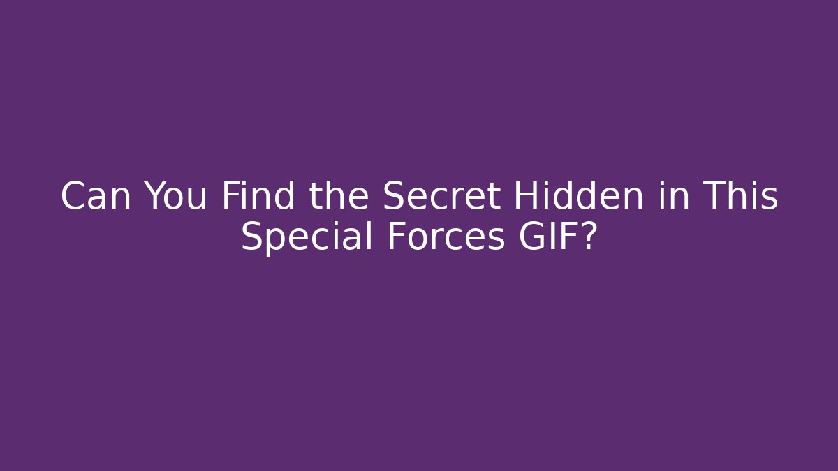 Can You Find the Secret Hidden in This Special Forces GIF?