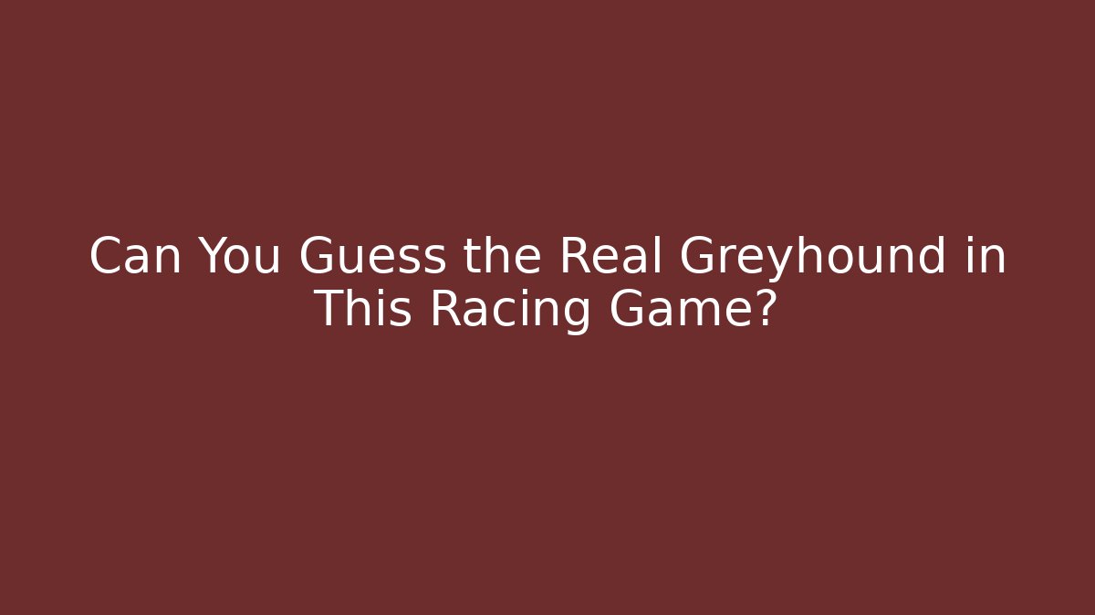 Can You Guess the Real Greyhound in This Racing Game?