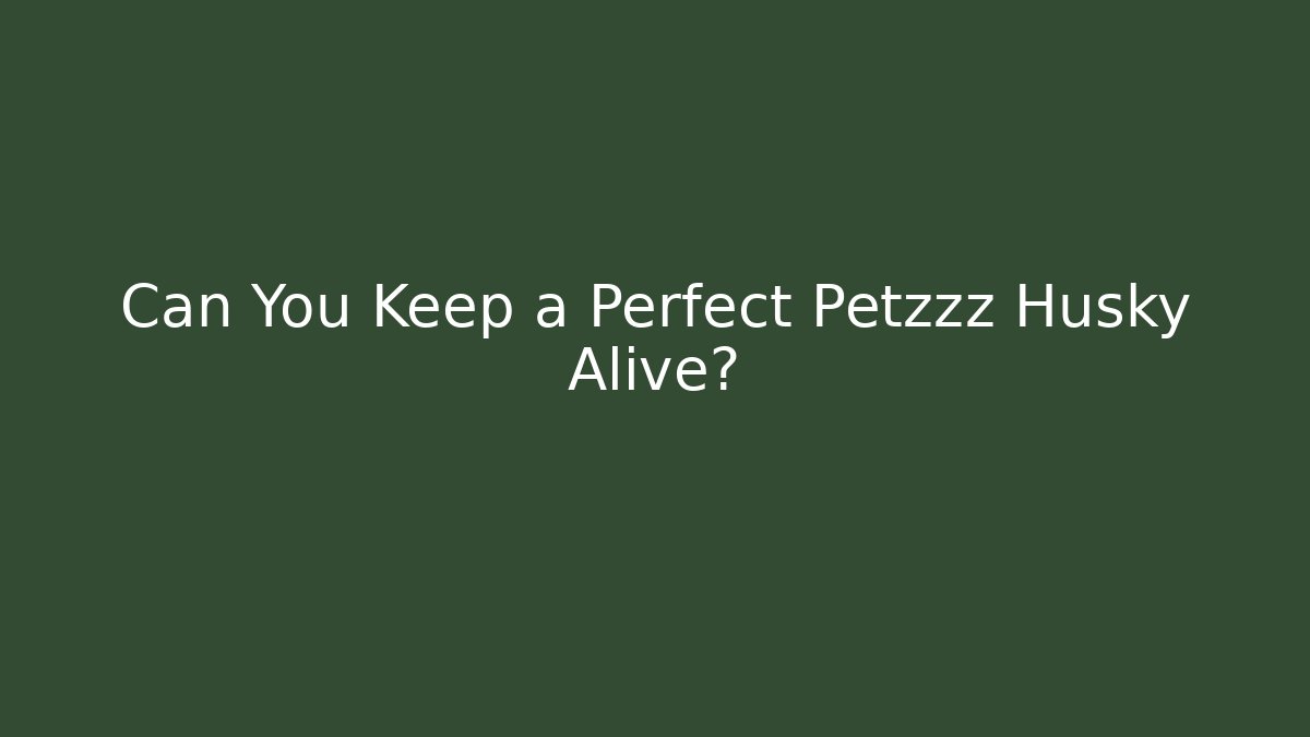 Can You Keep a Perfect Petzzz Husky Alive?