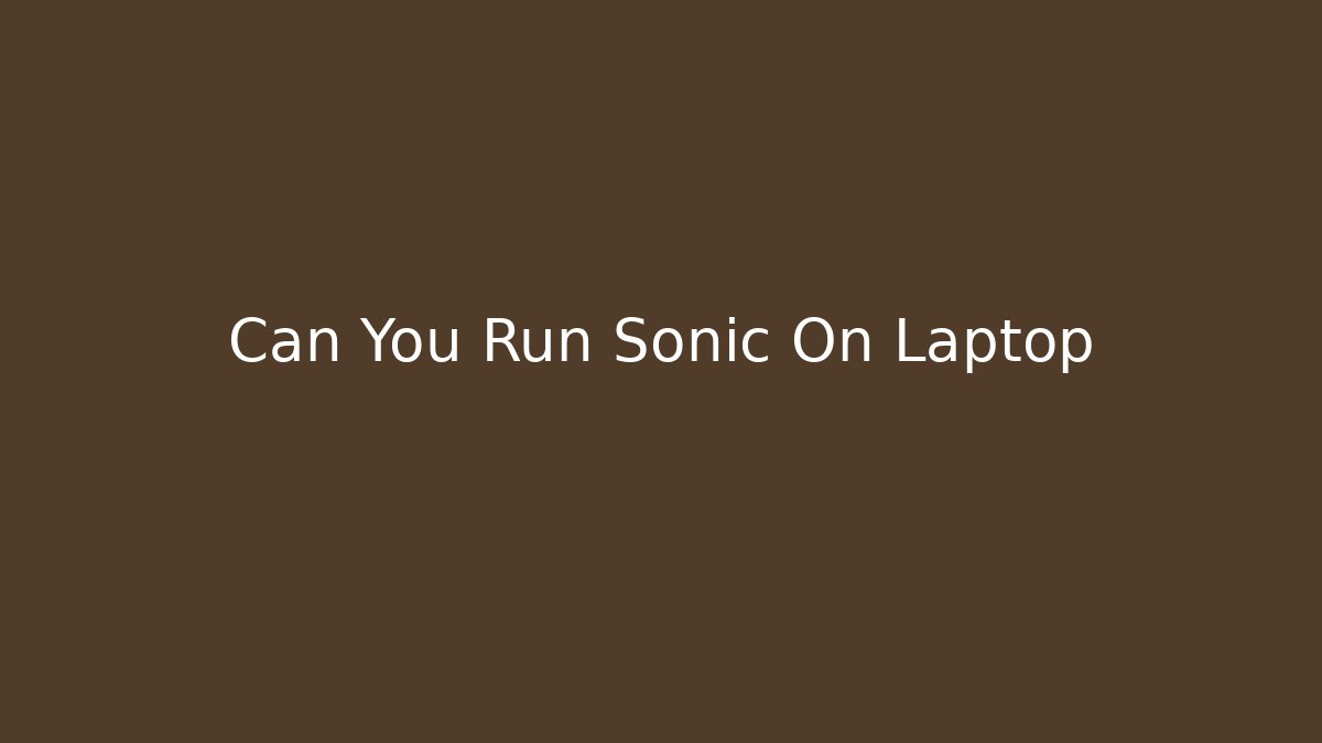 Can You Run Sonic On Laptop
