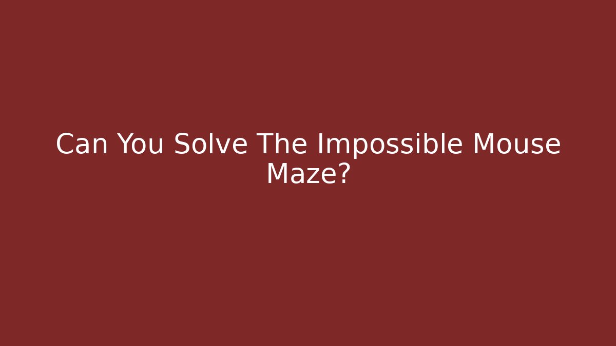 Can You Solve The Impossible Mouse Maze?