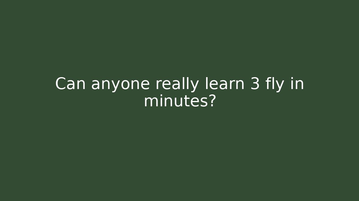 Can anyone really learn 3 fly in minutes?
