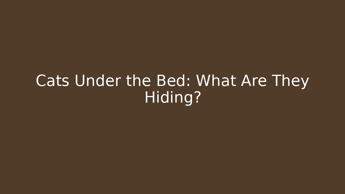 Cats Under the Bed: What Are They Hiding?