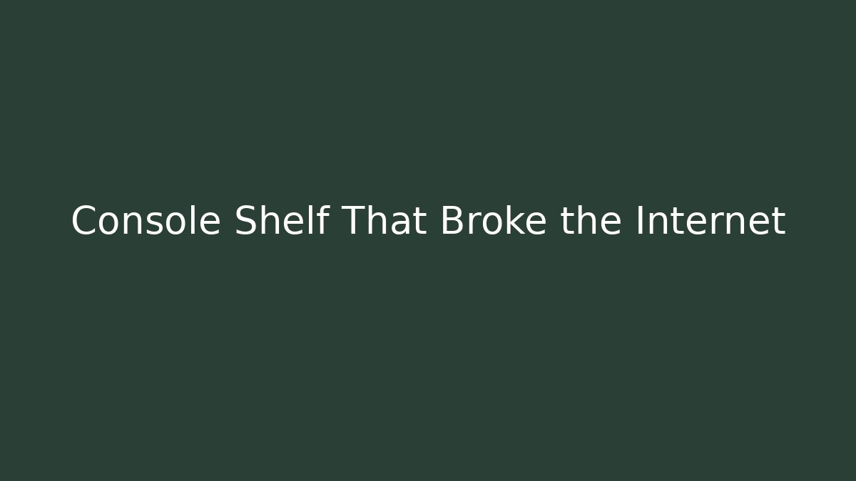Console Shelf That Broke the Internet