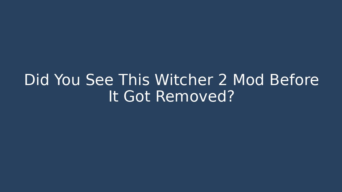 Did You See This Witcher 2 Mod Before It Got Removed?