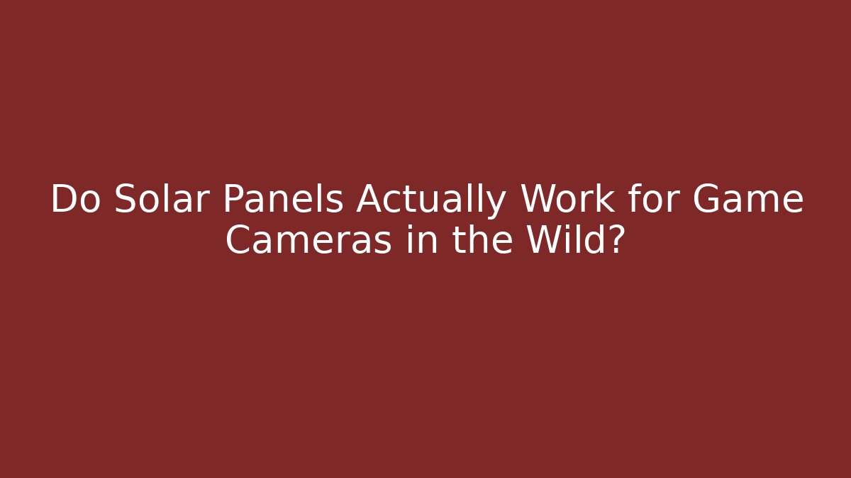 Do Solar Panels Actually Work for Game Cameras in the Wild?