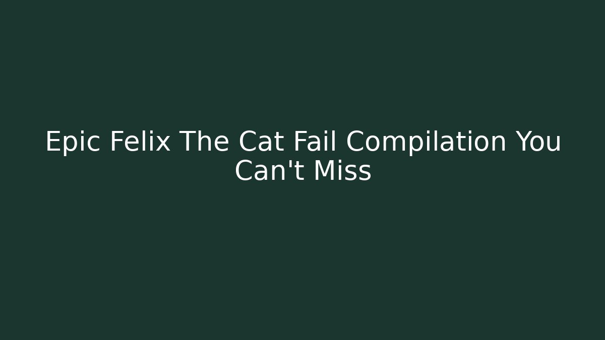 Epic Felix The Cat Fail Compilation You Can't Miss