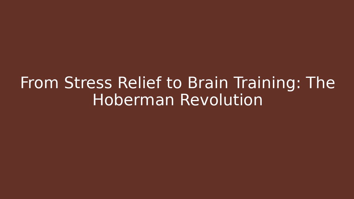 From Stress Relief to Brain Training: The Hoberman Revolution - Celivion