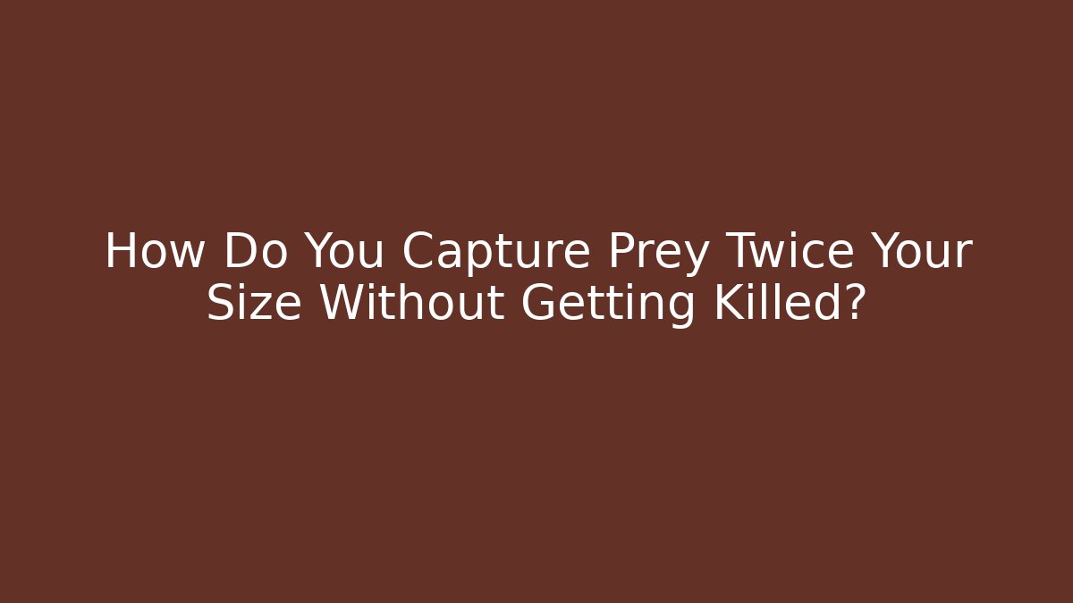 How Do You Capture Prey Twice Your Size Without Getting Killed?
