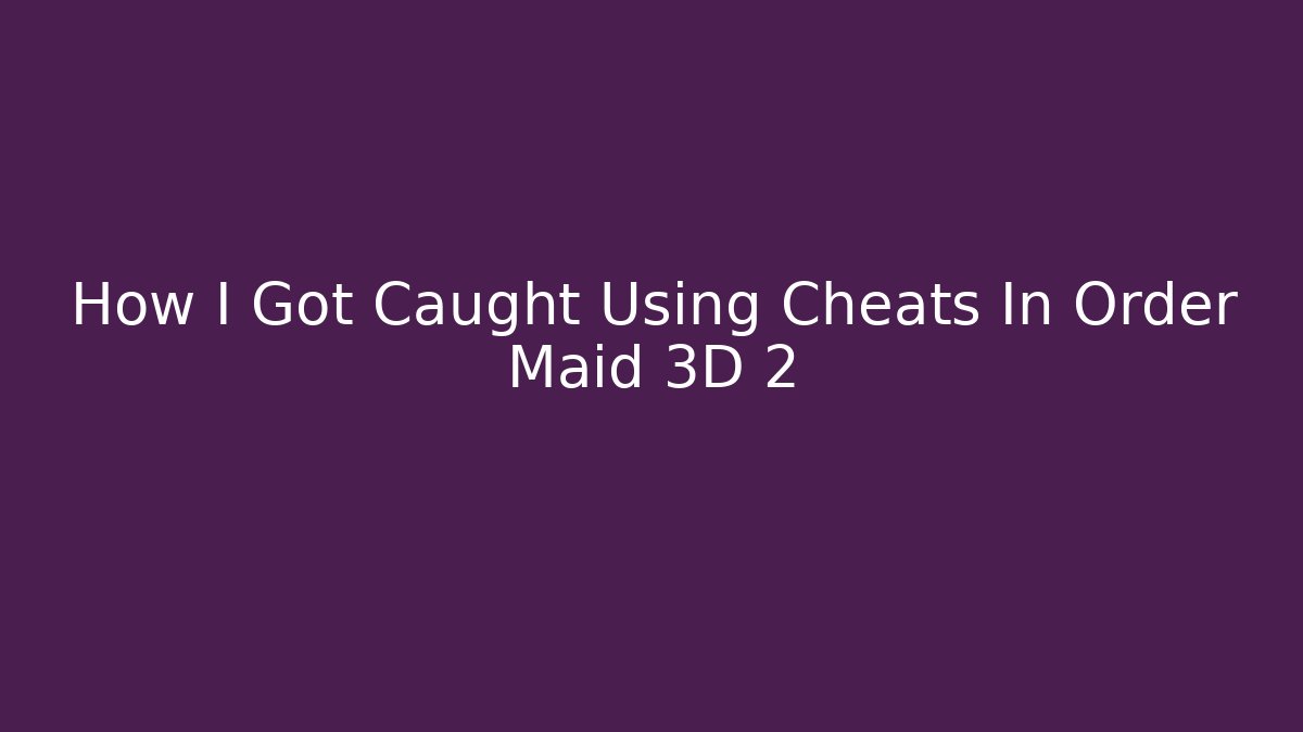 How I Got Caught Using Cheats In Order Maid 3D 2