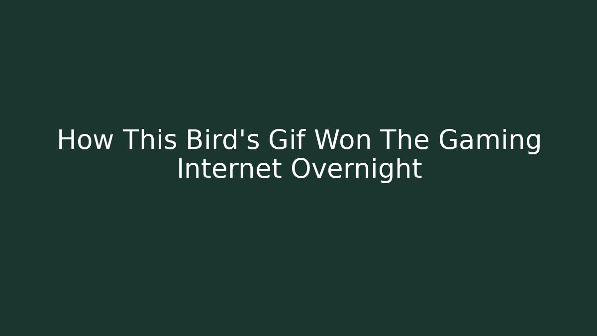 How This Bird's Gif Won The Gaming Internet Overnight
