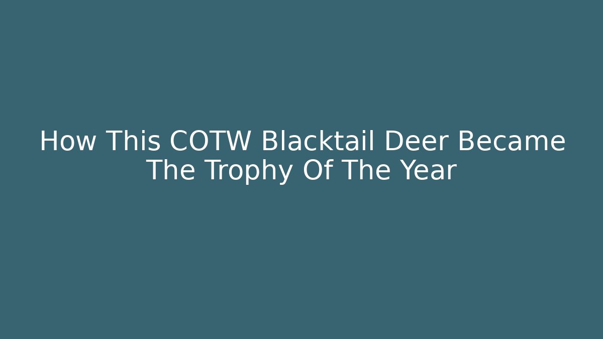 How This COTW Blacktail Deer Became The Trophy Of The Year