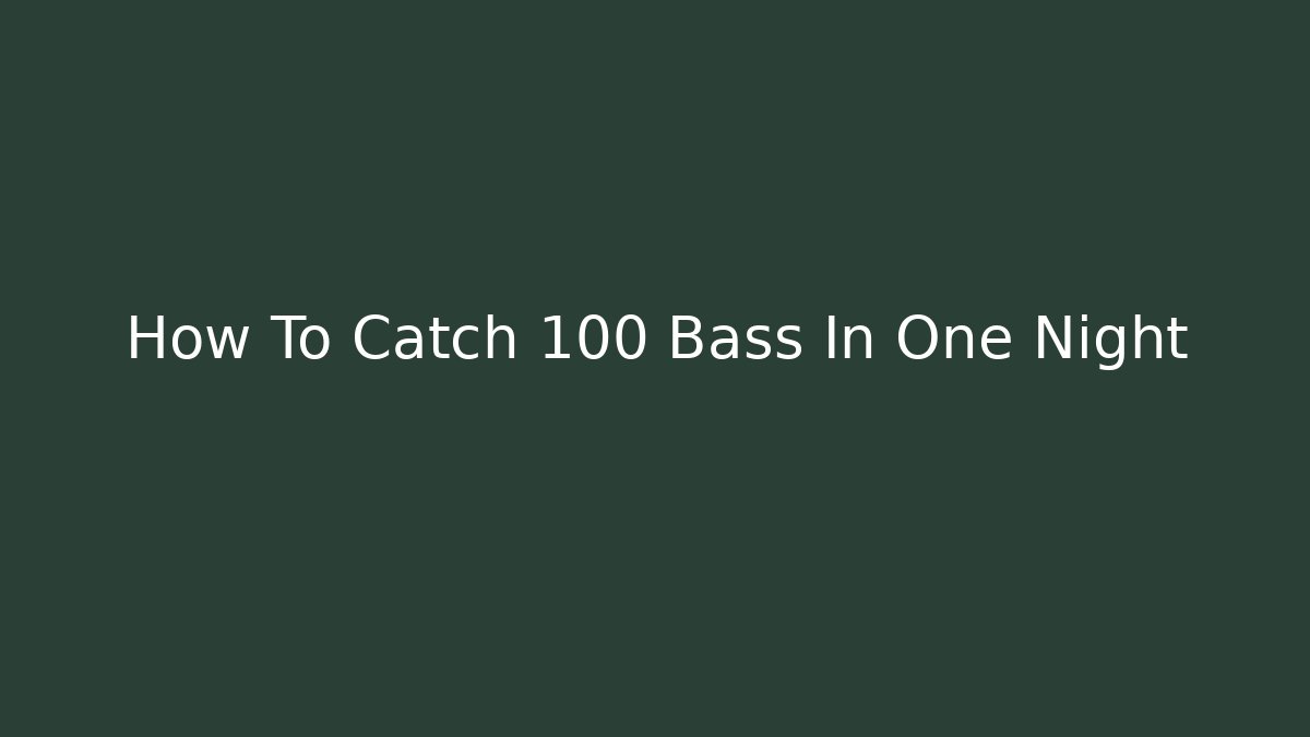 How To Catch 100 Bass In One Night