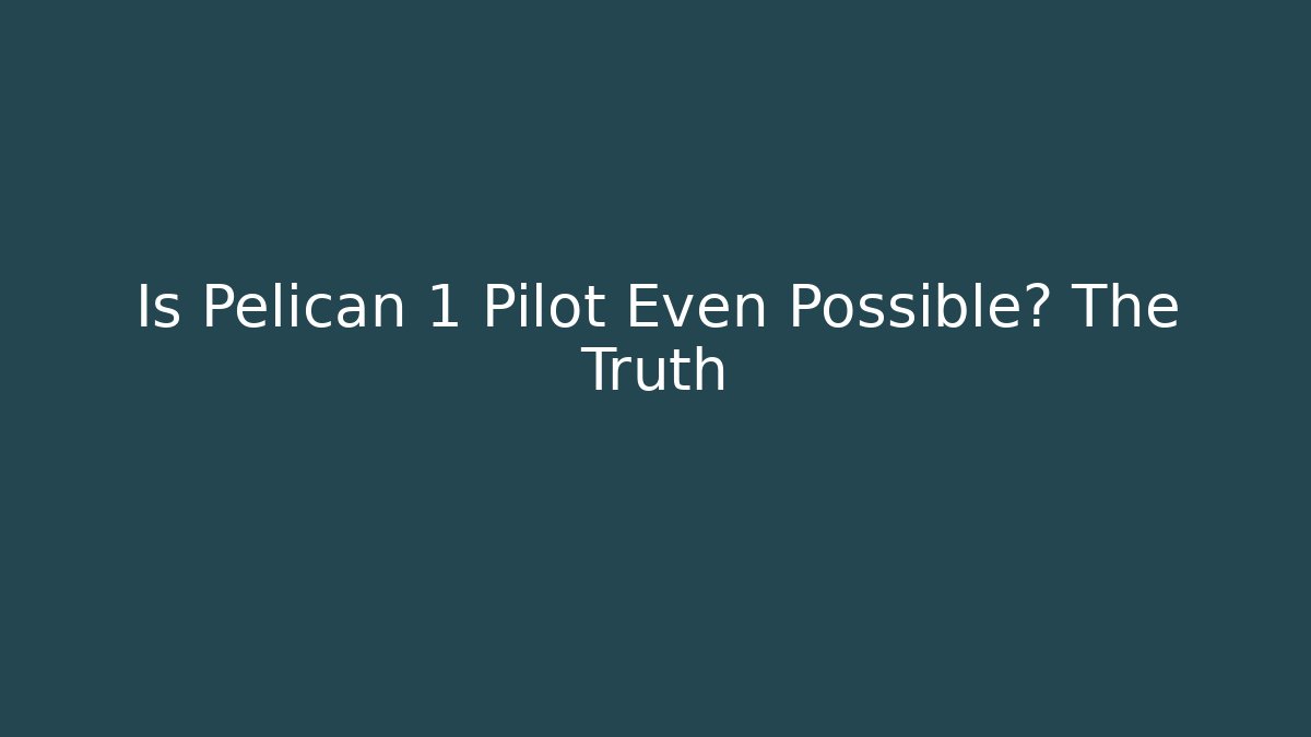 Is Pelican 1 Pilot Even Possible? The Truth
