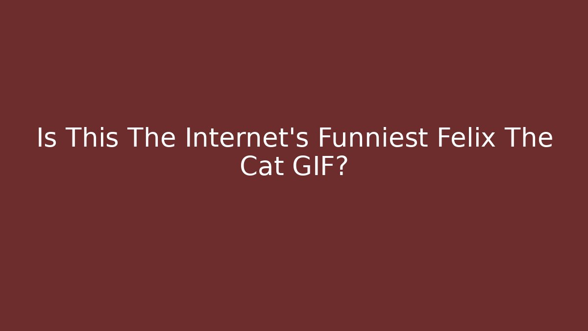 Is This The Internet's Funniest Felix The Cat GIF?