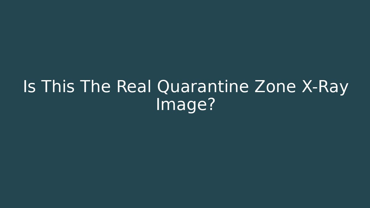 Is This The Real Quarantine Zone X-Ray Image?