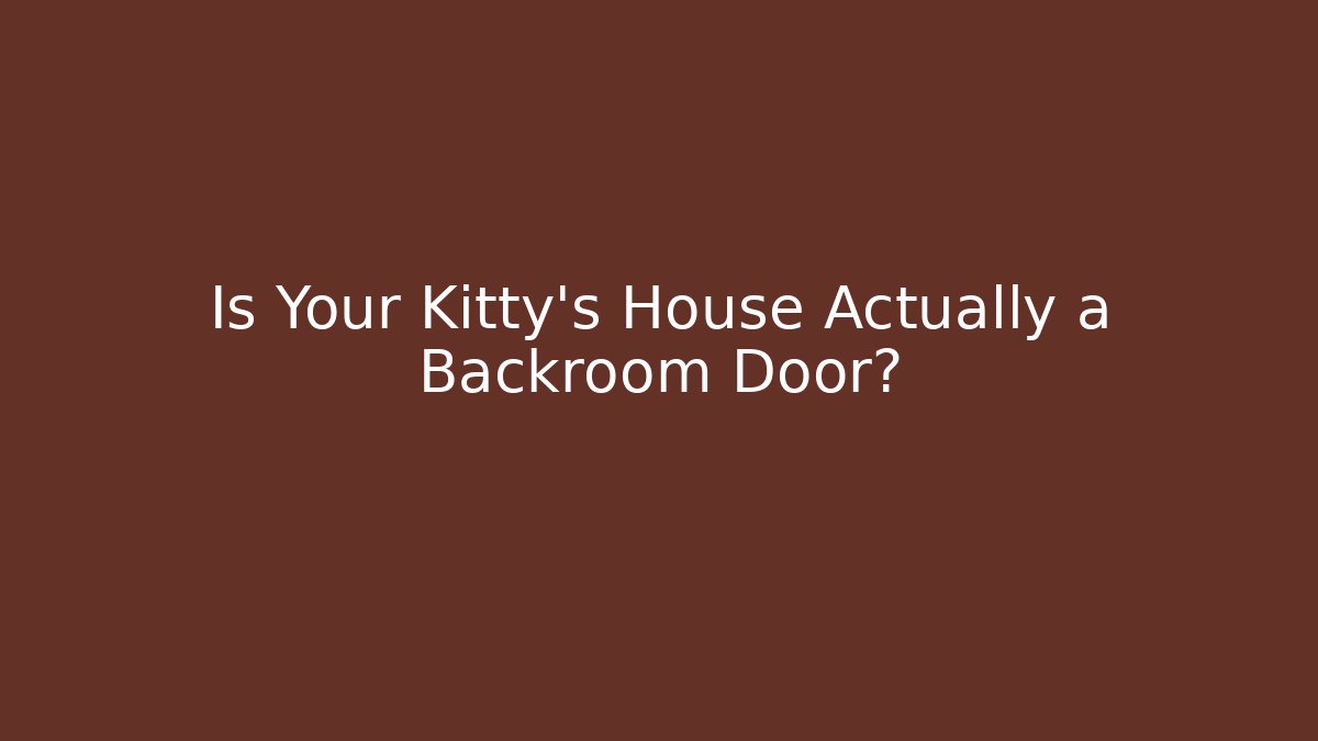 Is Your Kitty's House Actually a Backroom Door?