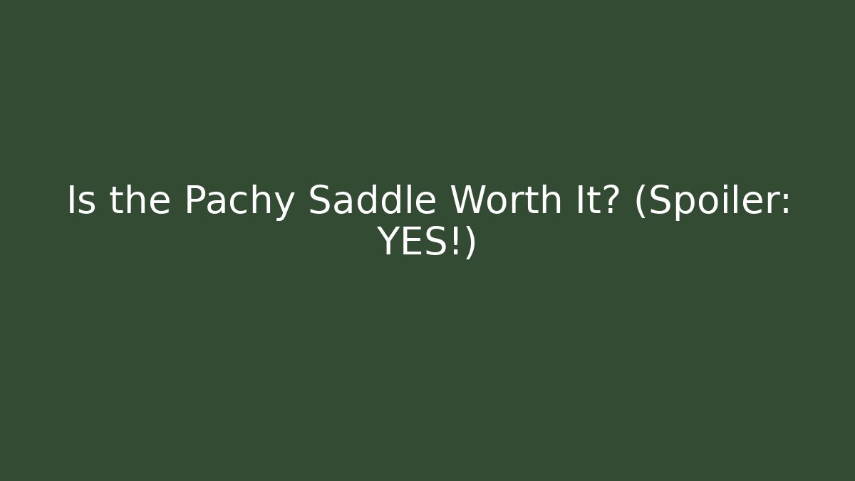 Is the Pachy Saddle Worth It? (Spoiler: YES!)