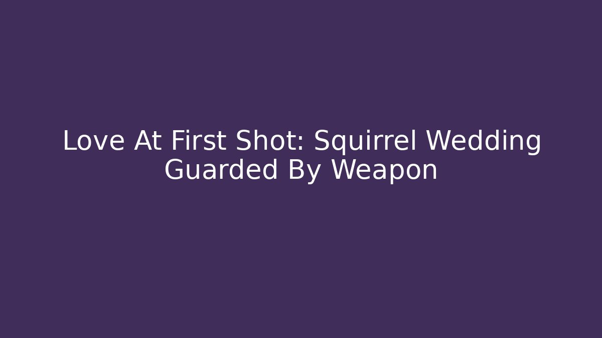 Love At First Shot: Squirrel Wedding Guarded By Weapon