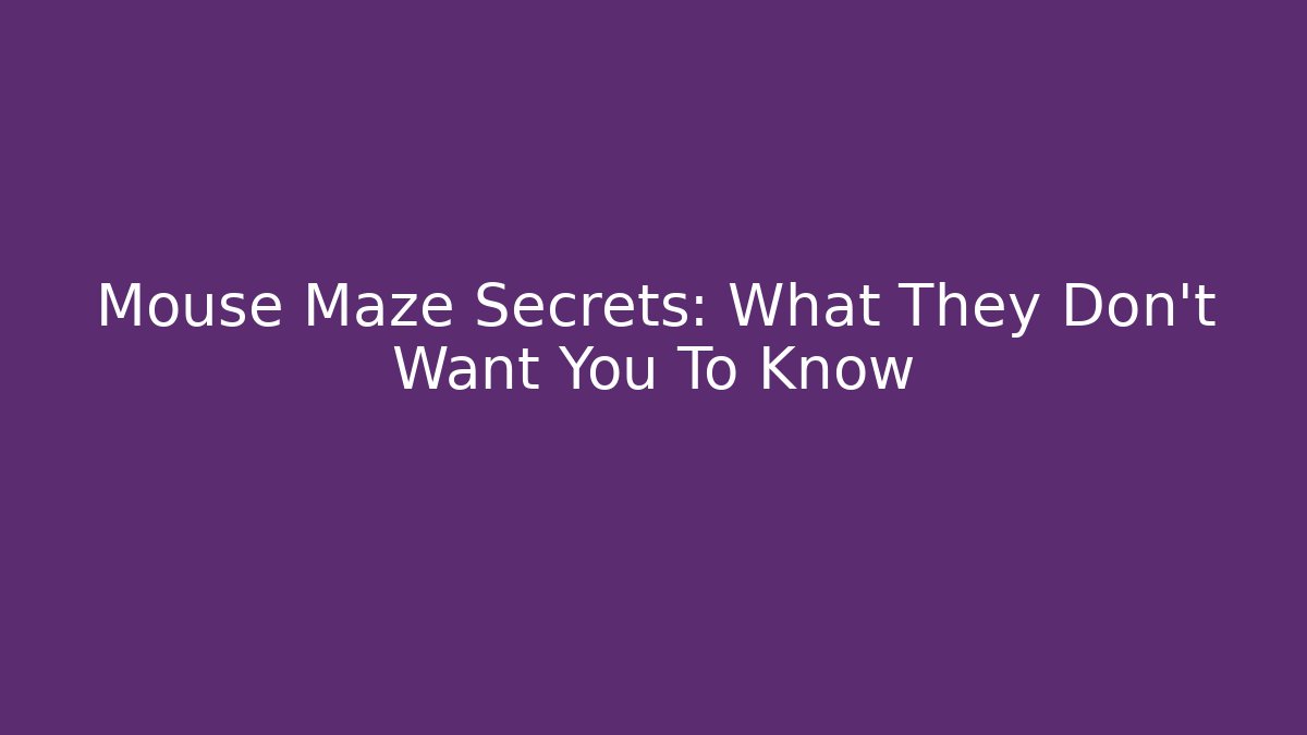 Mouse Maze Secrets: What They Don't Want You To Know