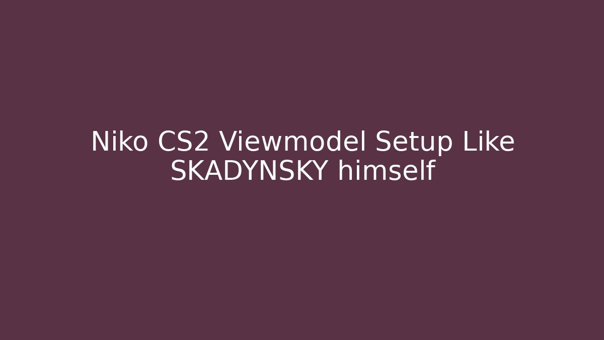 Niko CS2 Viewmodel Setup Like SKADYNSKY himself