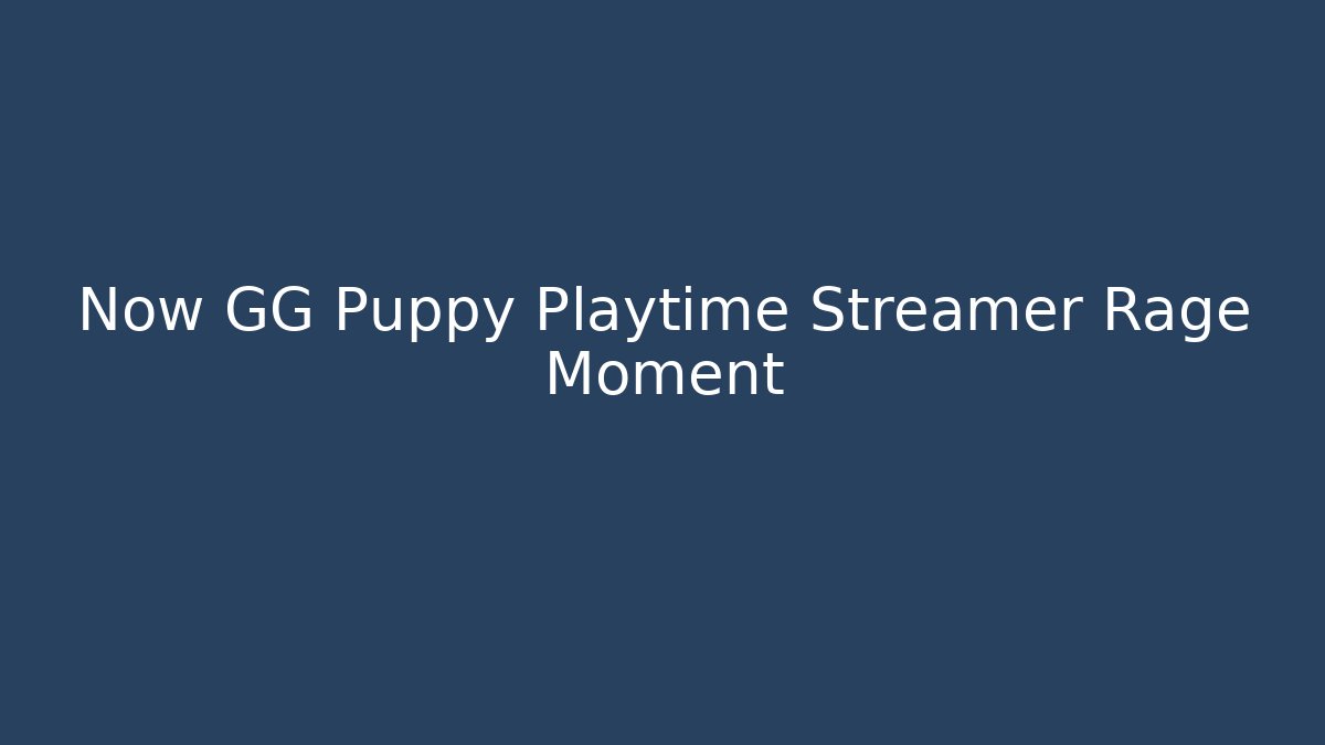 Now GG Puppy Playtime Streamer Rage Moment