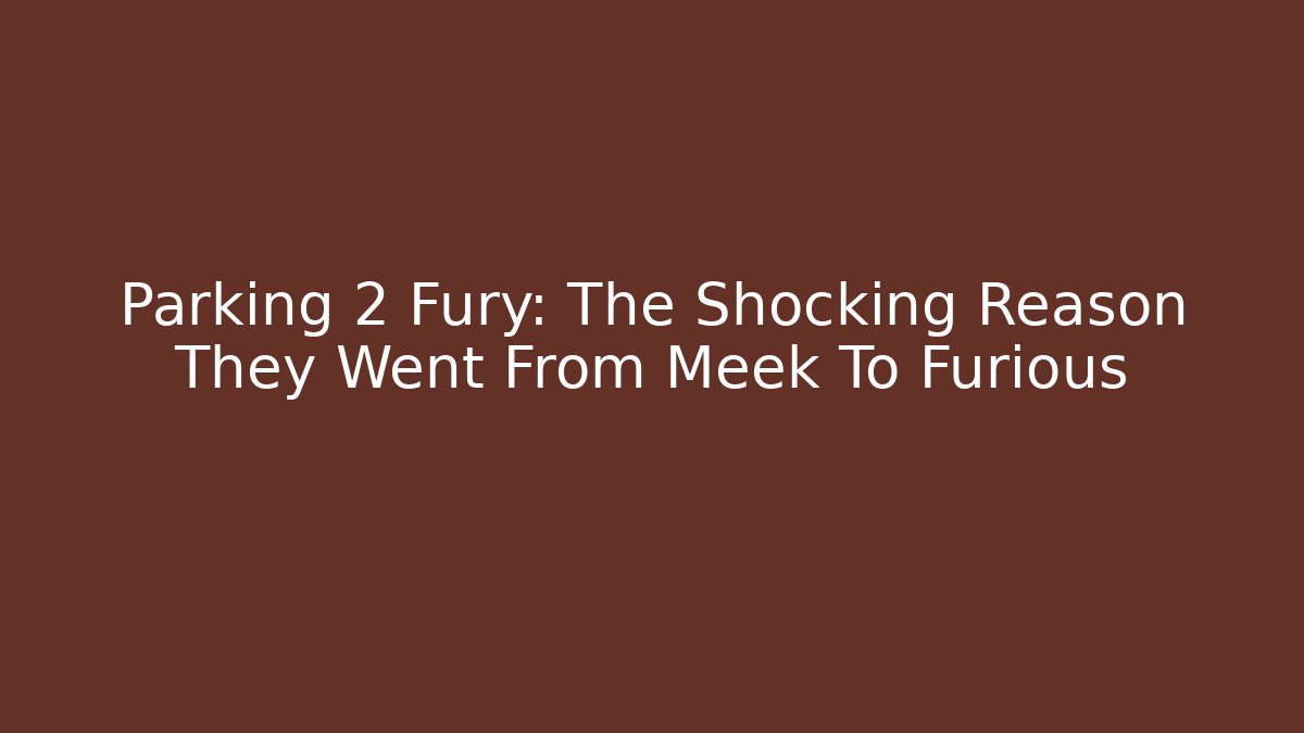 Parking 2 Fury: The Shocking Reason They Went From Meek To Furious