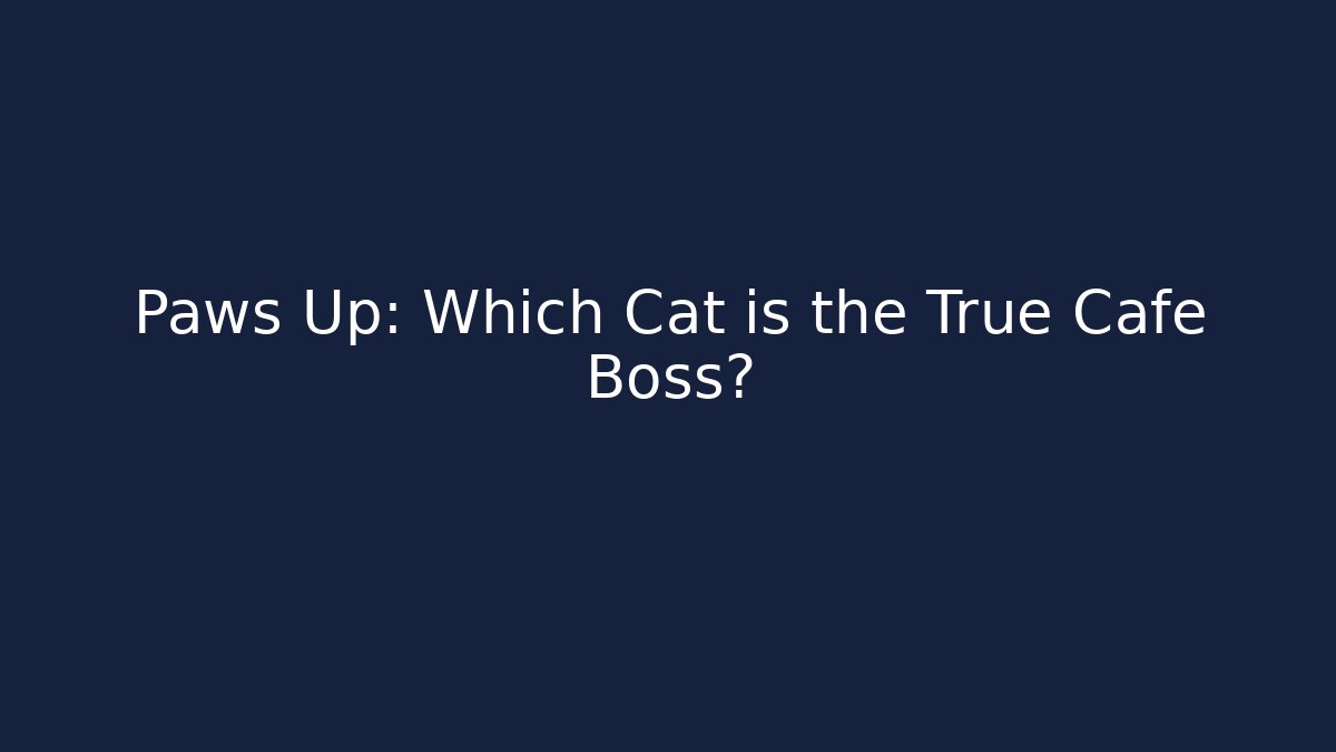 Paws Up: Which Cat is the True Cafe Boss?