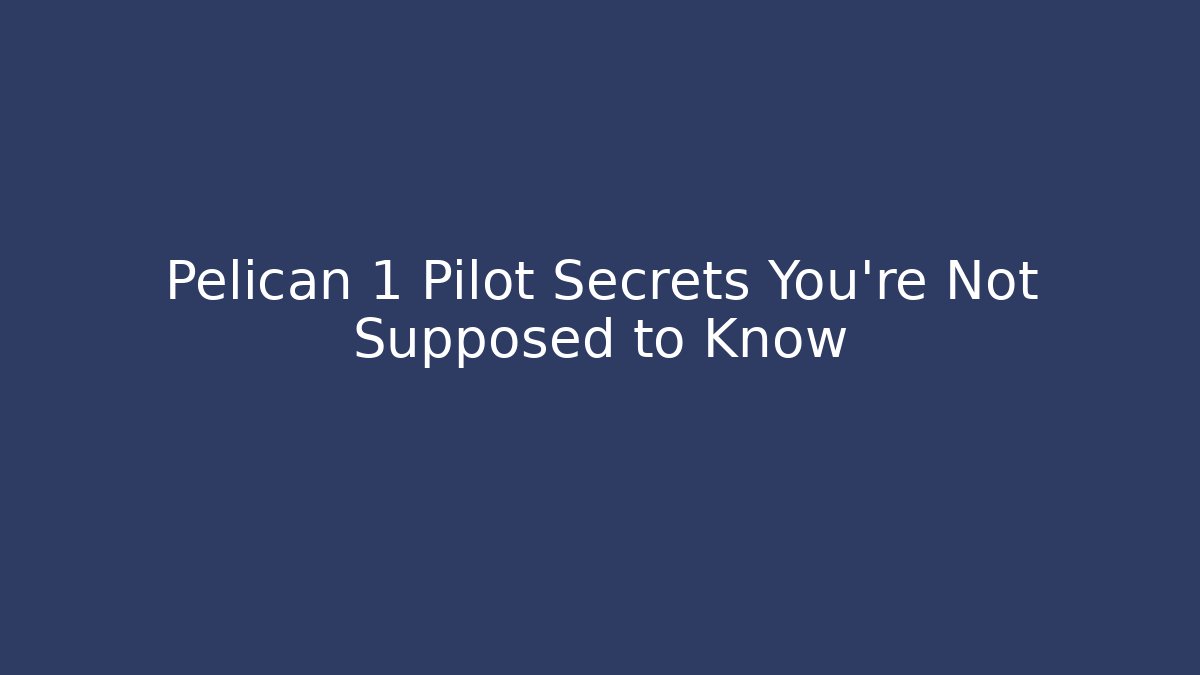 Pelican 1 Pilot Secrets You’re Not Supposed to Know