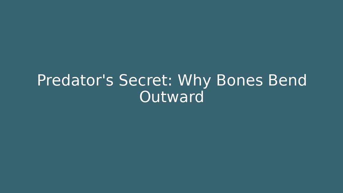 Predator's Secret: Why Bones Bend Outward - Celivion