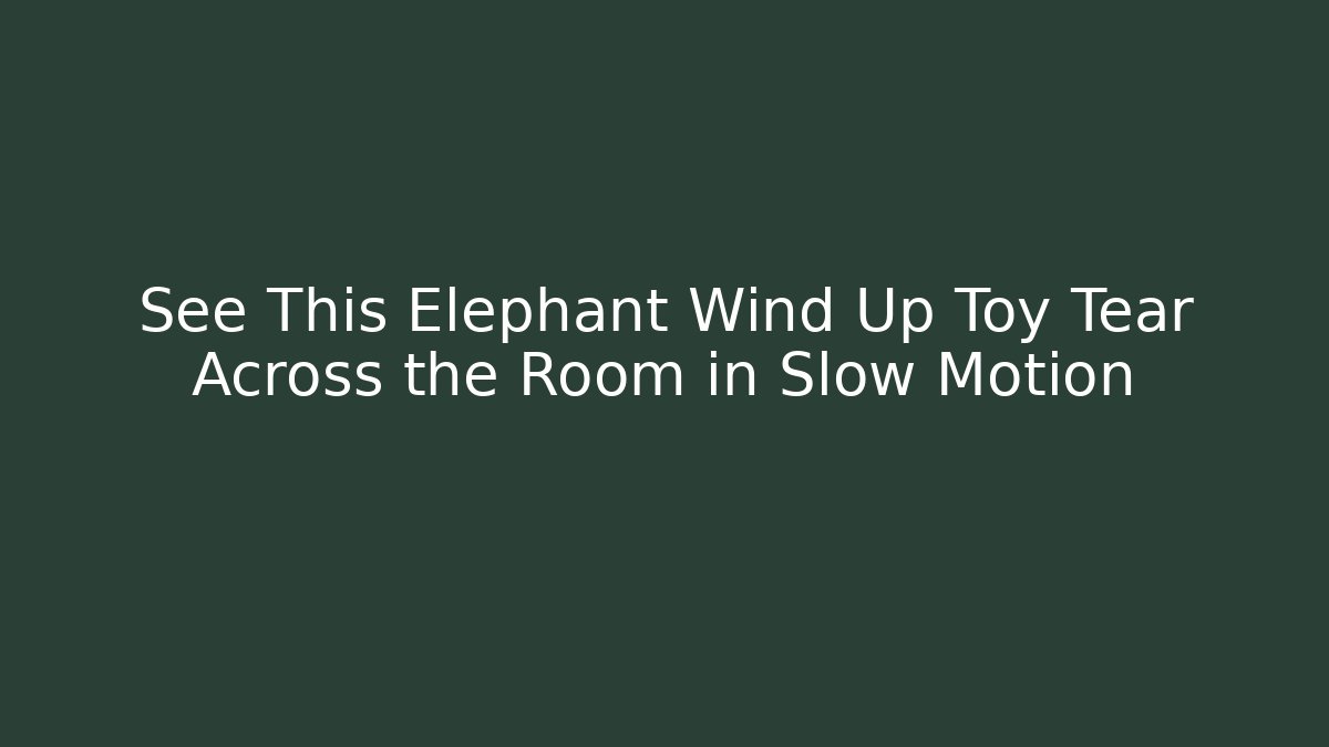 See This Elephant Wind Up Toy Tear Across the Room in Slow Motion