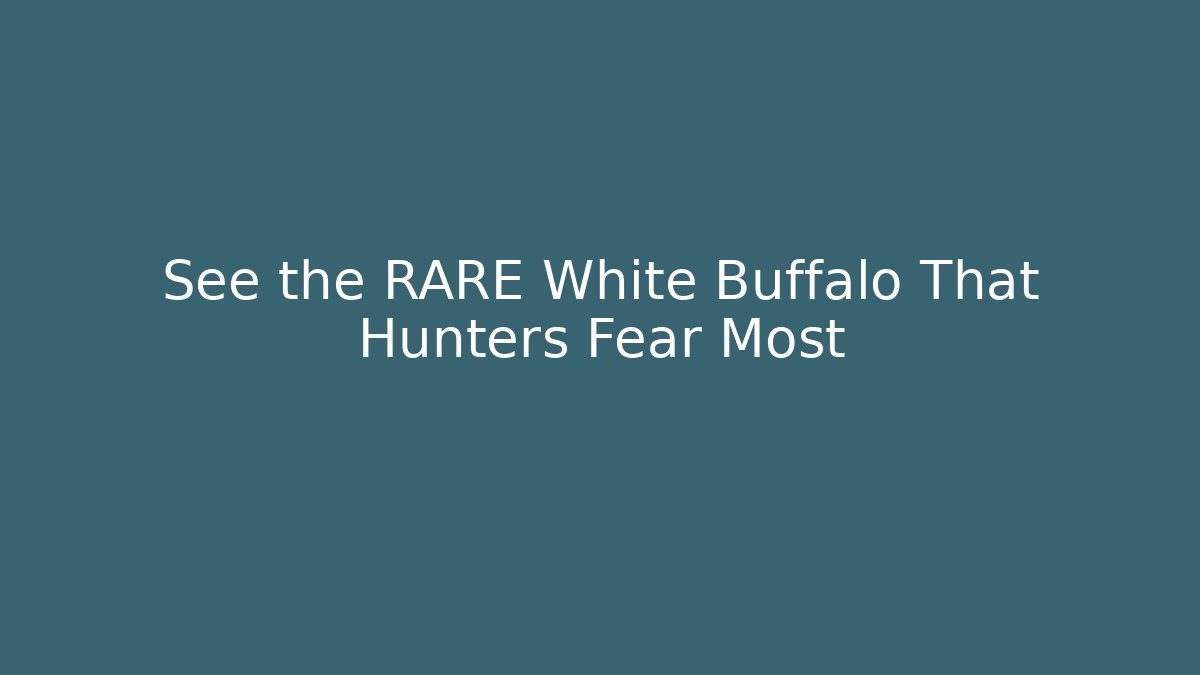 See the RARE White Buffalo That Hunters Fear Most