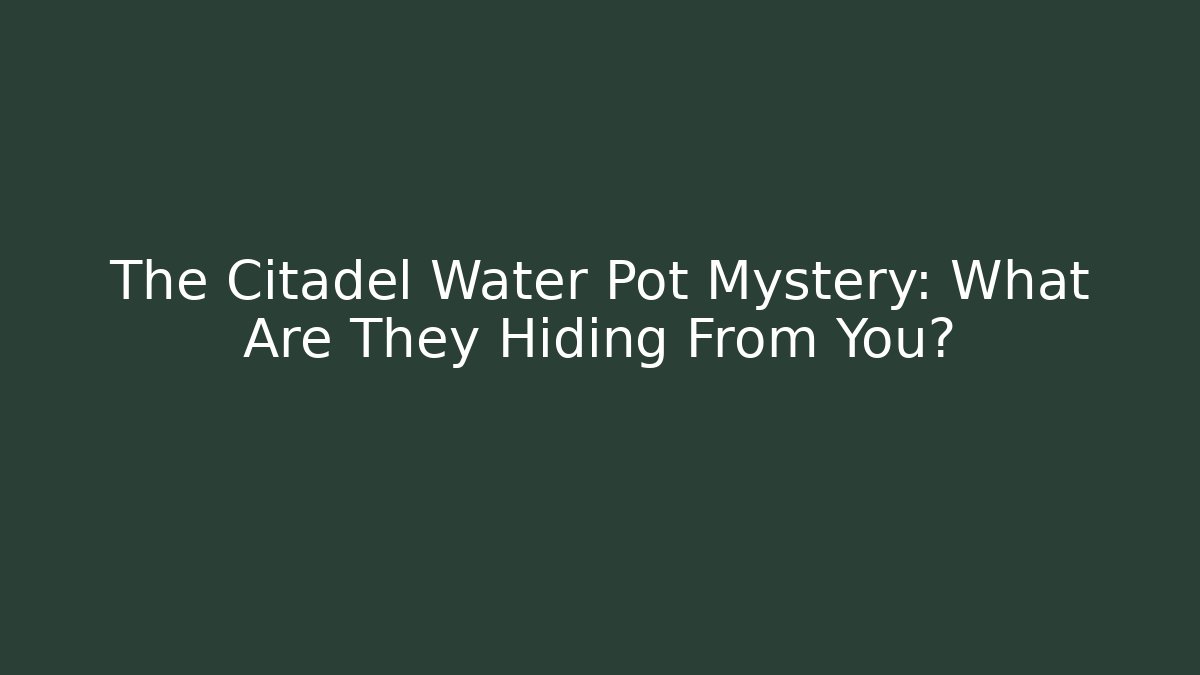 The Citadel Water Pot Mystery: What Are They Hiding From You?
