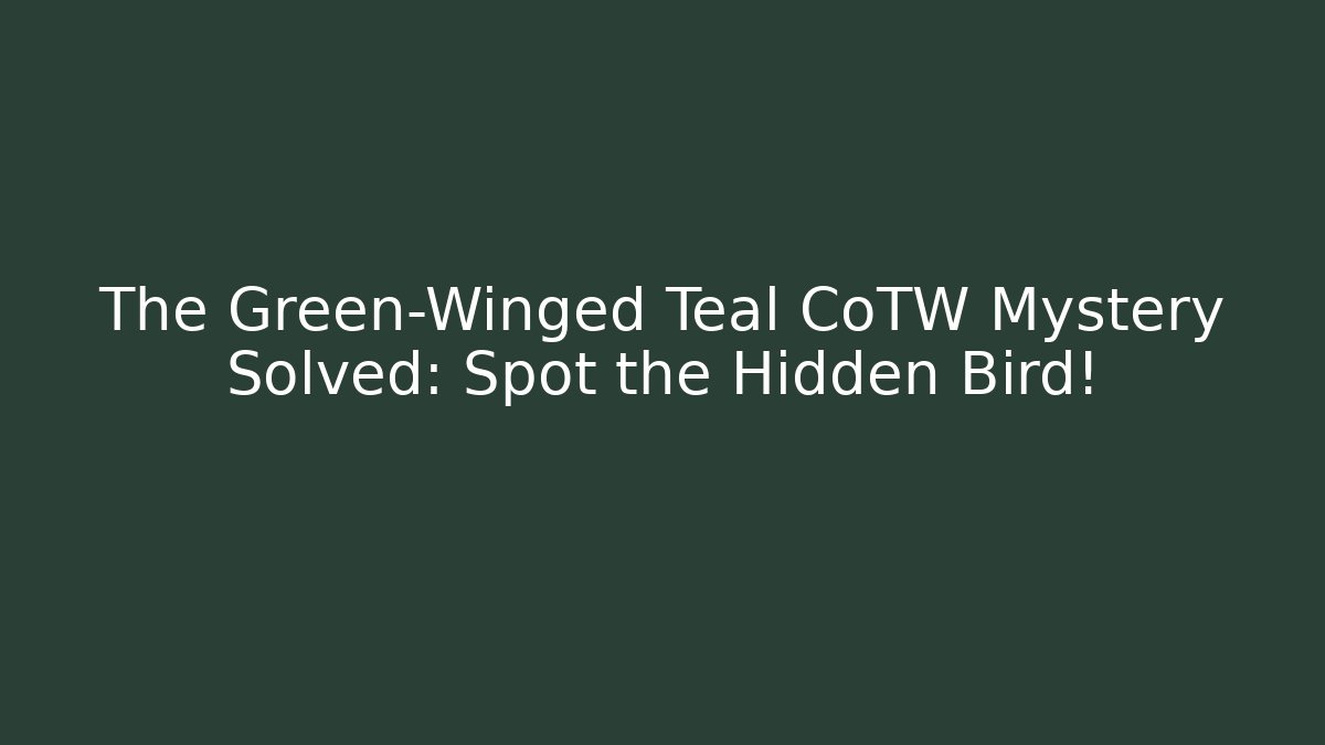 The Green-Winged Teal CoTW Mystery Solved: Spot the Hidden Bird!