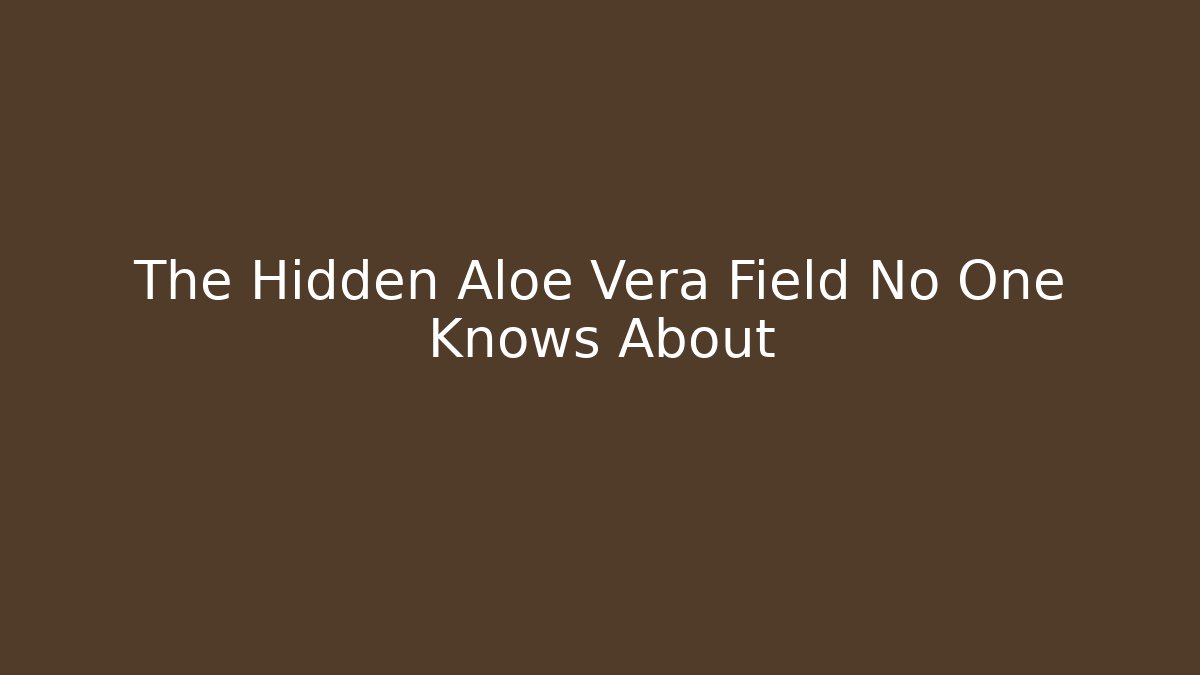 The Hidden Aloe Vera Field No One Knows About