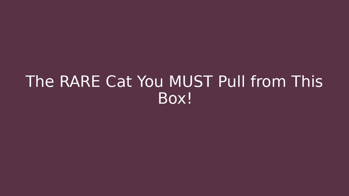 The RARE Cat You MUST Pull from This Box!