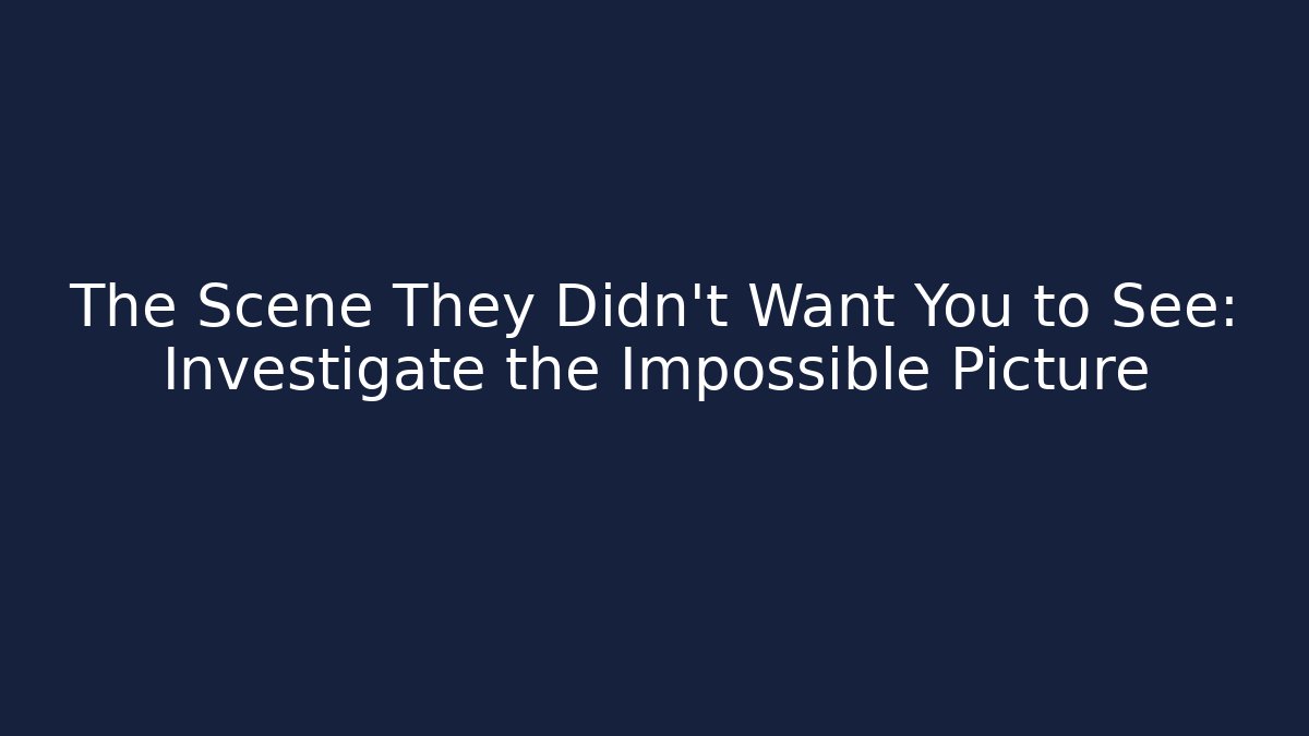 The Scene They Didn't Want You to See: Investigate the Impossible Picture