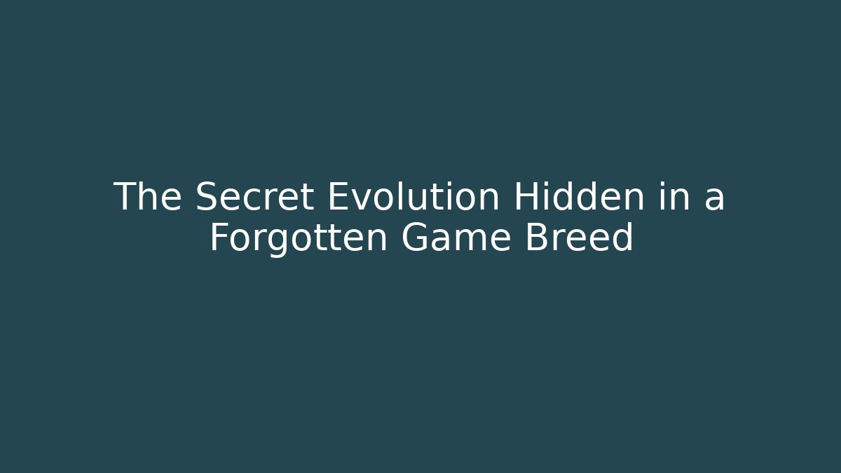 The Secret Evolution Hidden in a Forgotten Game Breed