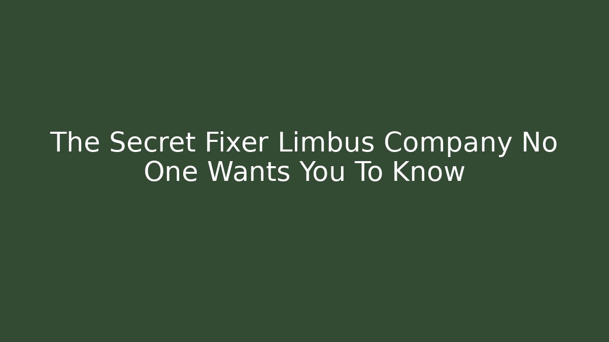 The Secret Fixer Limbus Company No One Wants You To Know