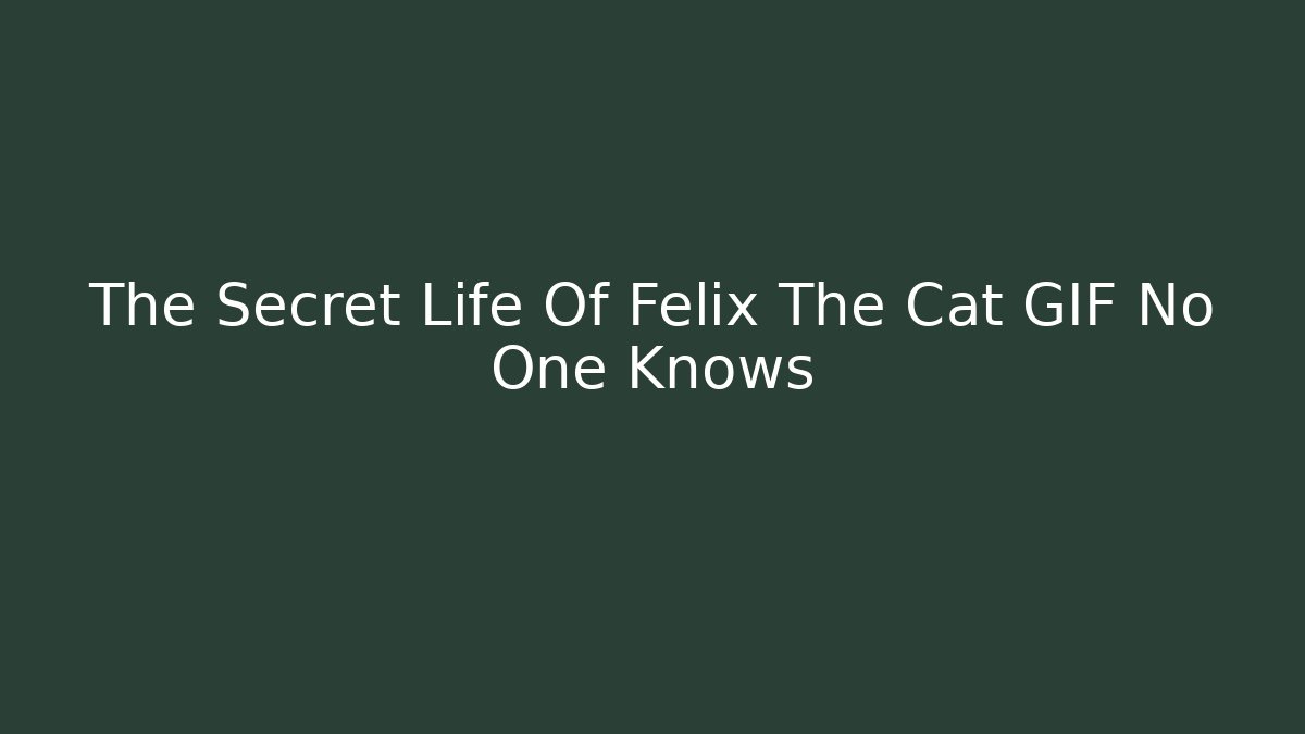 The Secret Life Of Felix The Cat GIF No One Knows