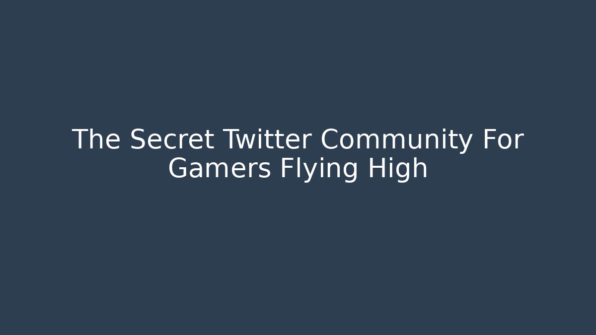 The Secret Twitter Community For Gamers Flying High