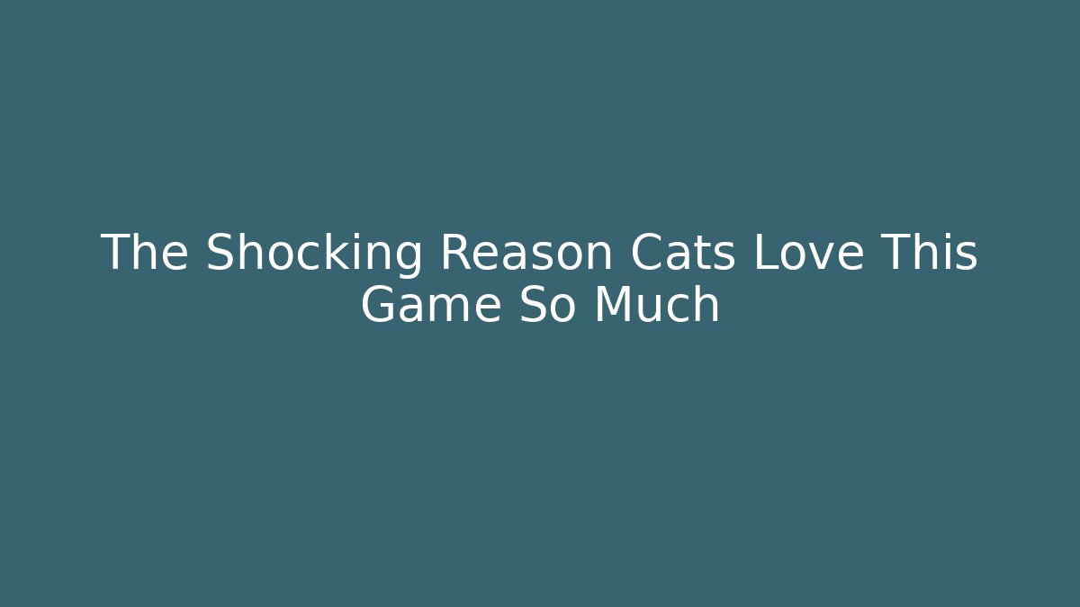 The Shocking Reason Cats Love This Game So Much