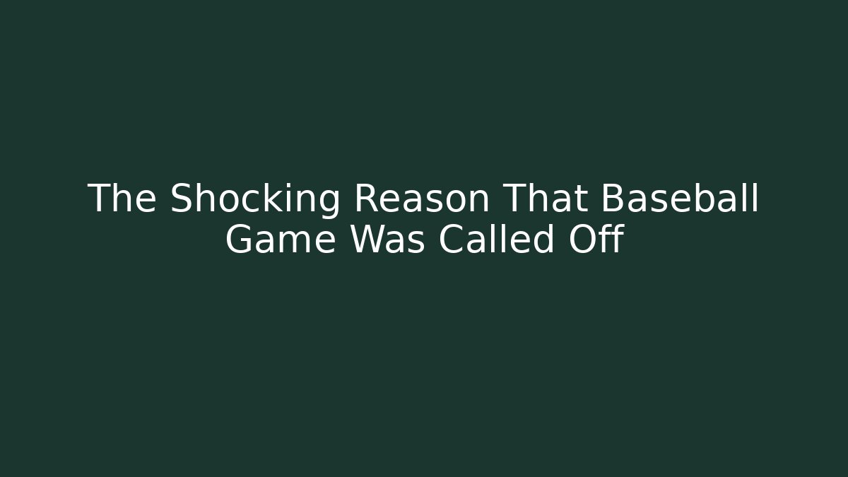 The Shocking Reason That Baseball Game Was Called Off
