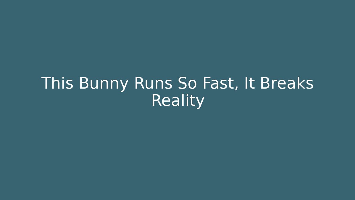 This Bunny Runs So Fast, It Breaks Reality