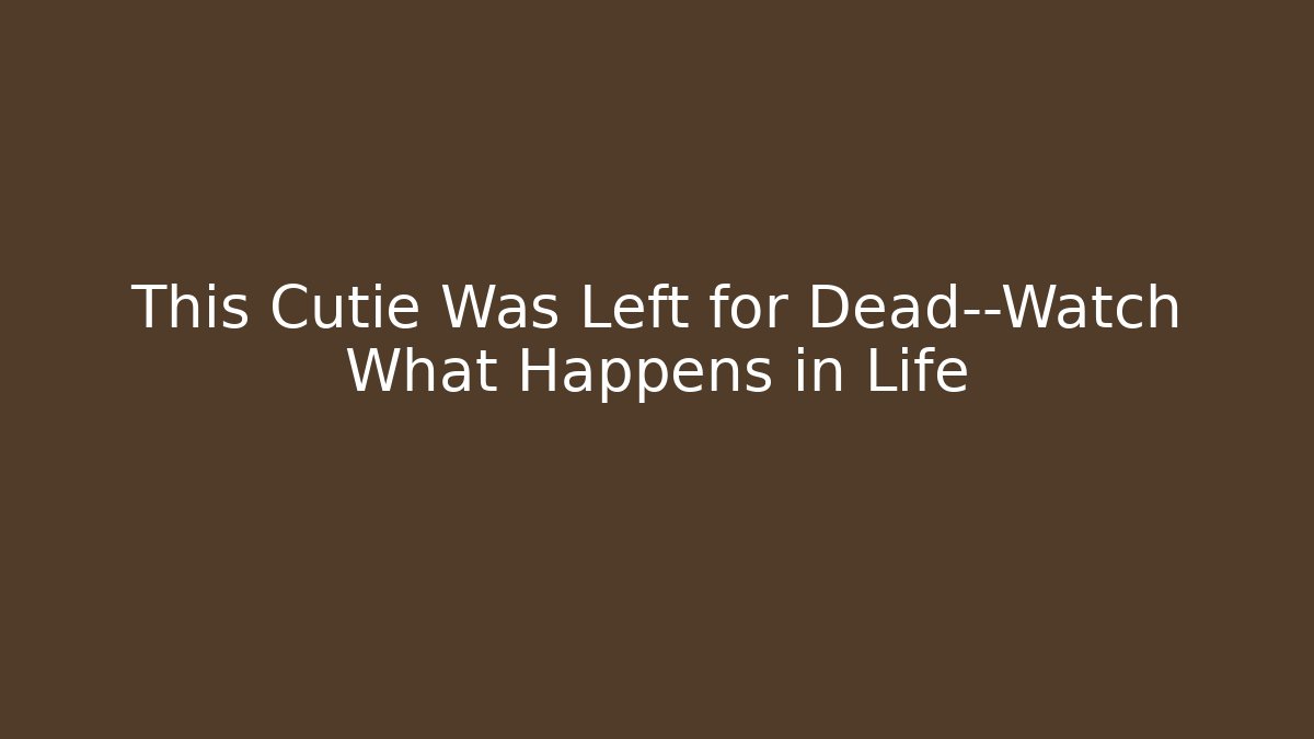 This Cutie Was Left for Dead—Watch What Happens in Life