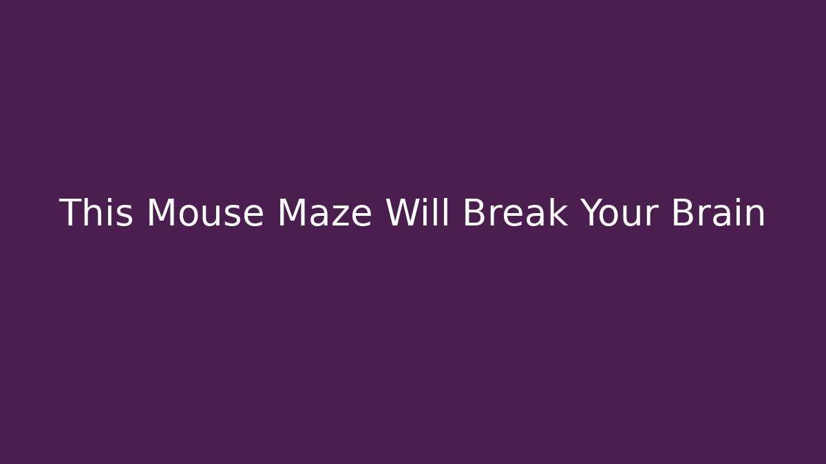 This Mouse Maze Will Break Your Brain
