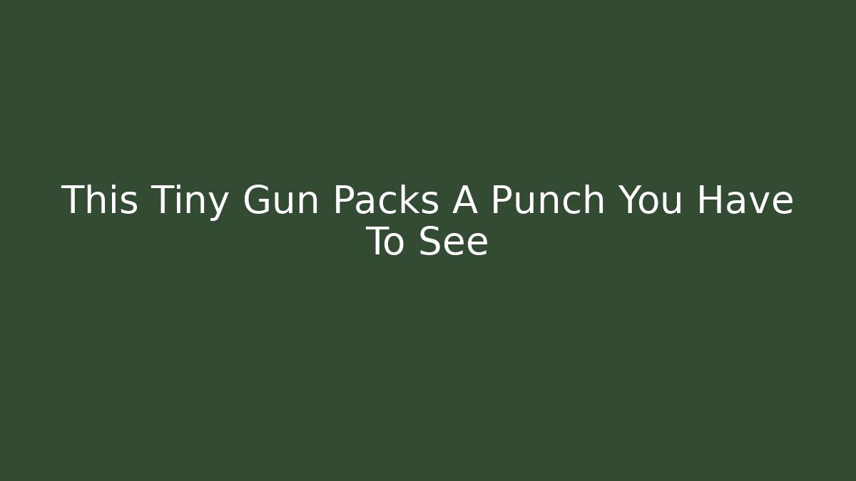 This Tiny Gun Packs A Punch You Have To See